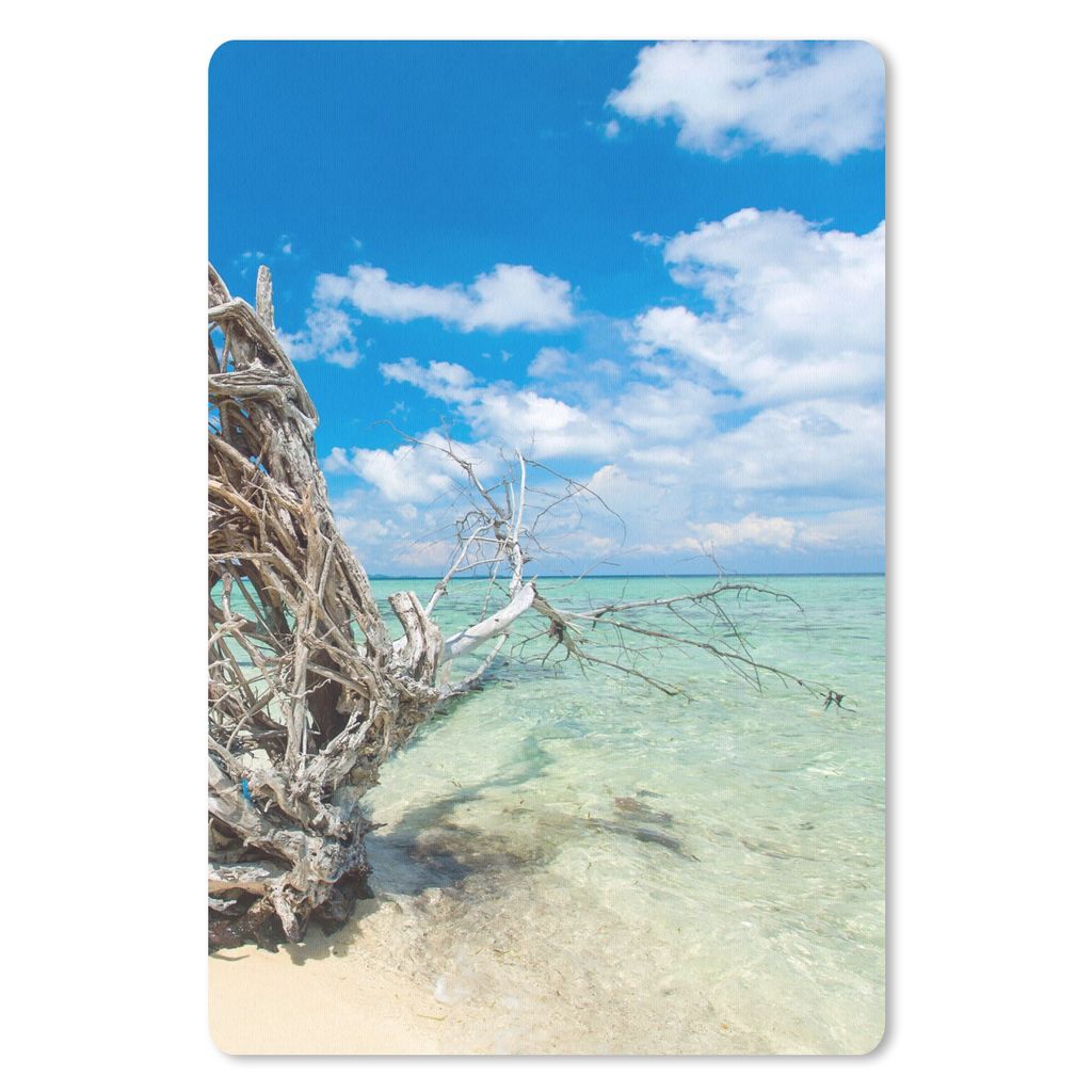 MuchoWow Mauspad Mousepad Strand - Äste - Tropisch - Meer 18x27 cm - Mousepads - Maus Mat - Pad - Mausunterlage