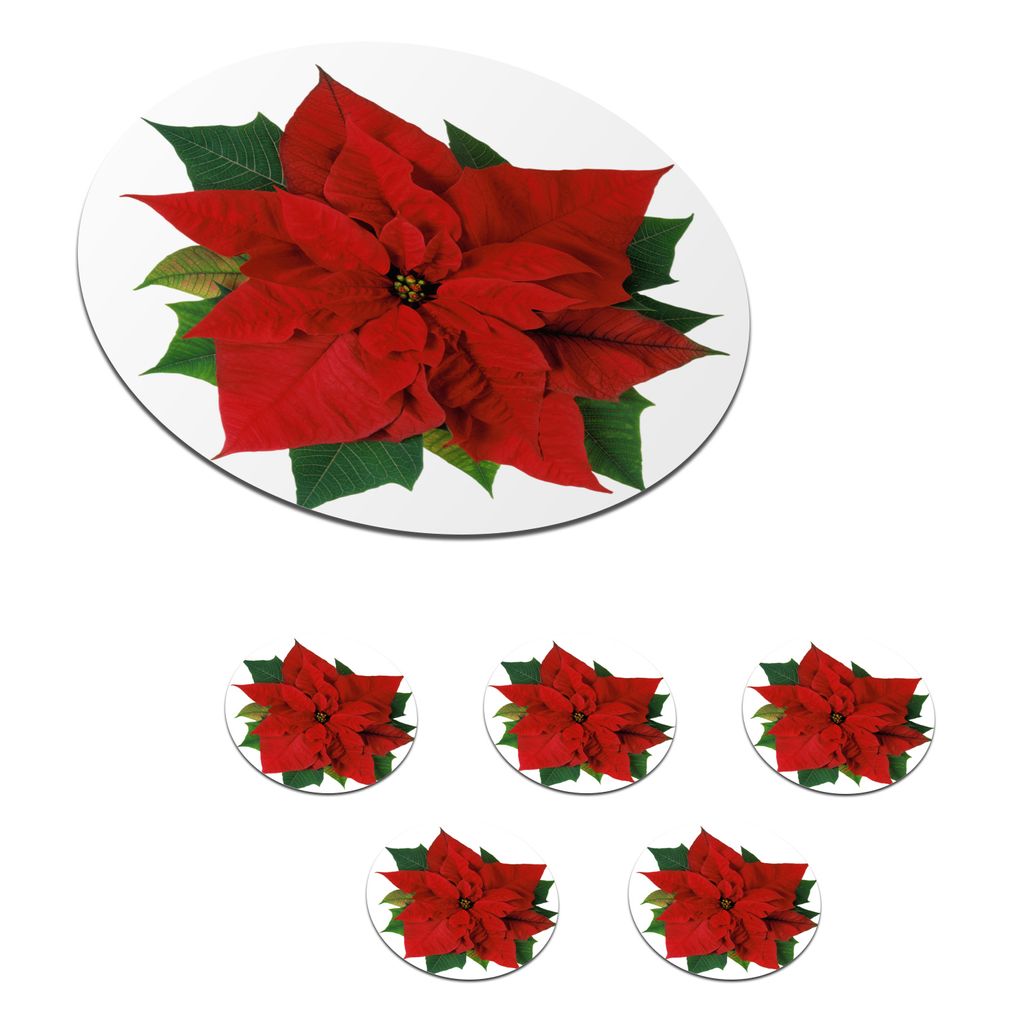KitchenYeah Glasuntersetzer Rund 6er Set Weihnachtsstern - Weihnachtsblume 10x10 cm Untersetzer für Gläser - Getränkeuntersetzer - Tischplatte...