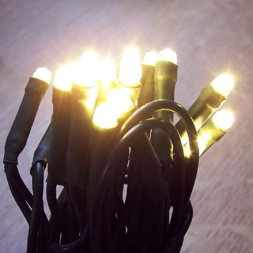 50er LED Ein-Strang-Lichterkette warmweiß-grün Nexos SC00033