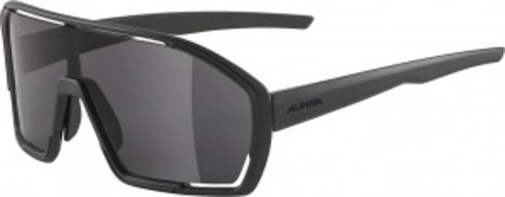 Alpina Bonfire Gris pour Cyclisme et Running - Vision Nette en Extérieur