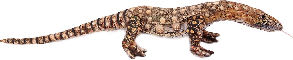 Stofftier Komodowaran 87 cm, Stofftiere Plüschtier Produktbild 