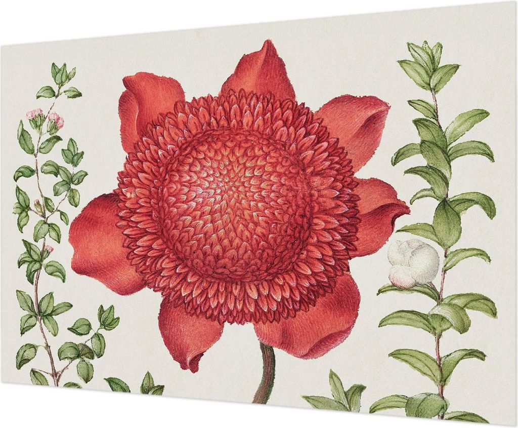 Wandtapete - Dekorative Tapete für Wohnzimmer - Tapetenfolie für Wanddekoration - 208x146 cm - Florale Eleganz