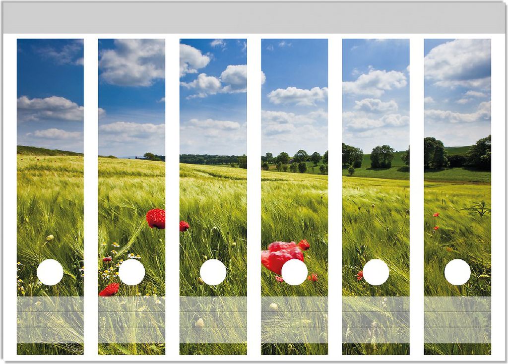 Wallario Ordnerrücken Sticker, selbstklebend für breite Ordner, 6 Stück, Motiv Mohnblumenwiese auf grüner Wiese unter blauem Himmel