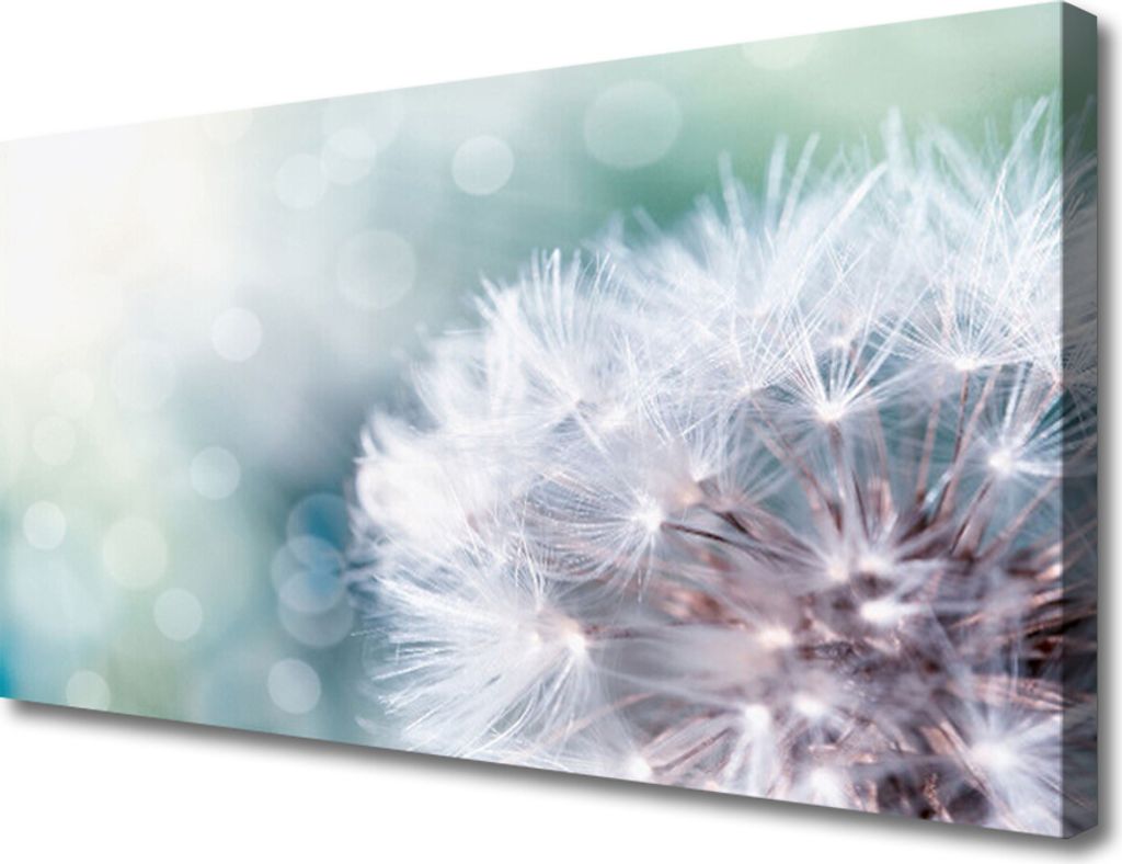 Tulup Leinwand-Bilder 100x50 Wandbild Canvas Kunstdruck Pusteblume Pflanzen