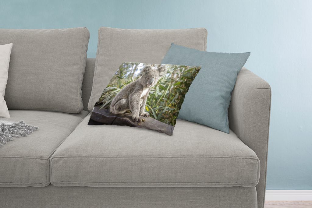 MuchoWow Zierkissen Sofakissen Wohnzimmer Dekokissen 60x40 cm Koala - Regal - Pflanzen - Kinder - Jungen - Mädchen - Kopfkissen - Polster mit Foto