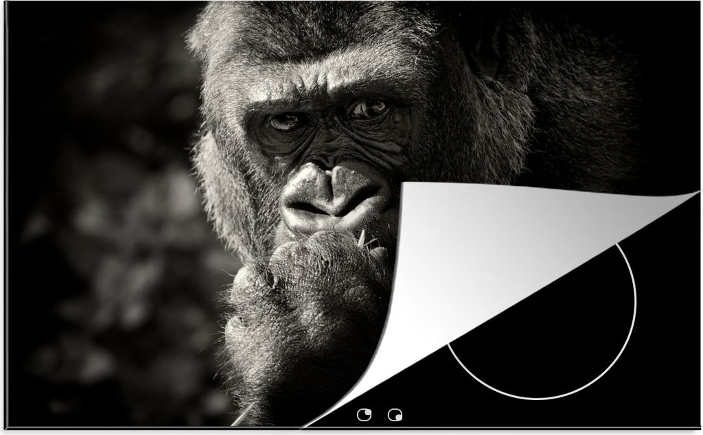 KitchenYeah Herdabdeckplatte Gorilla auf schwarzem Hintergrund in Schwarz und Weiß , 90x52cm, Küche Deko, Glaskeramikkochfeld Herdabdeckung, Ab...
