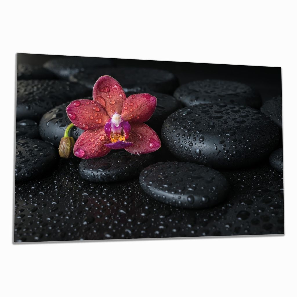 Wallario Herdabdeckplatte aus Glas, Größe 80 x 52 cm 1-teilig, Motiv Orchideen-Blüte auf schwarzen Steinen, benetzt mit Wasser-Tropfen