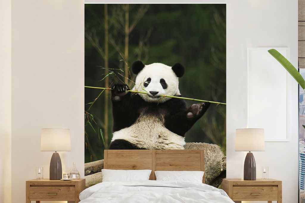 MuchoWow Fototapete für Wohnzimmer oder Schlafzimmer Wandtapete Vinyl Motivtapete Panda - Bambus - Wald - 145x220 cm - Wanddekoration