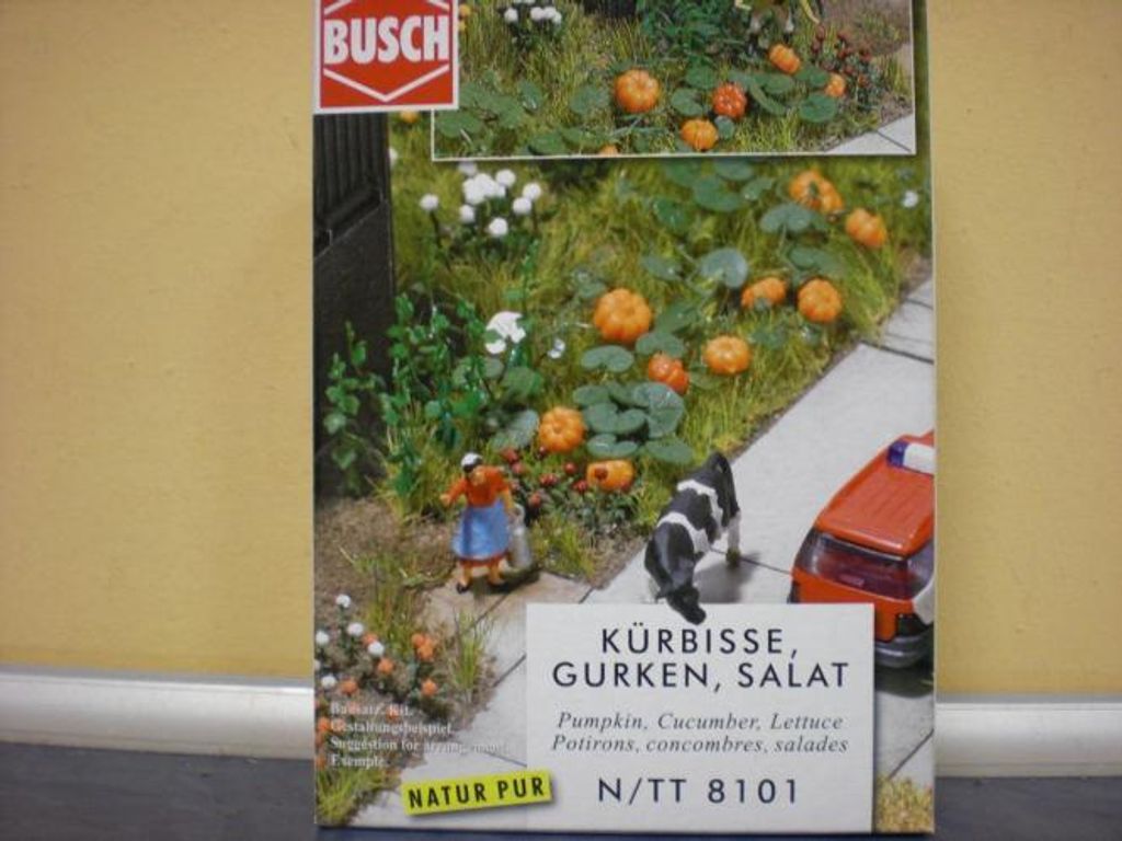 Busch Kürbisse, Gurken und Salat N