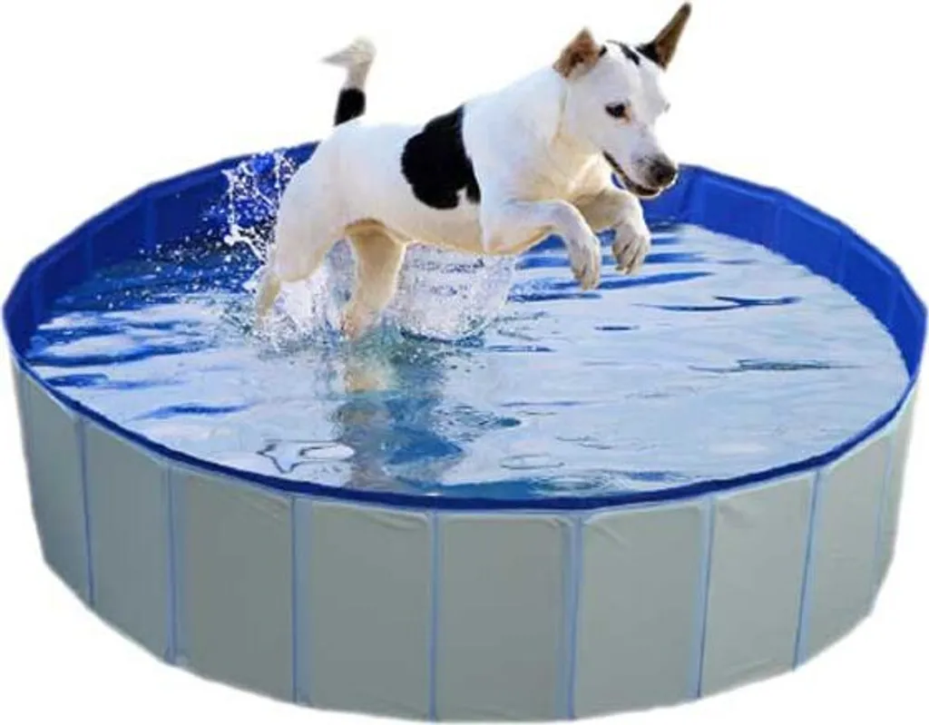 Piscina per Cani Duvo+ 80x30cm - La Scelta Sicura per l'Estate