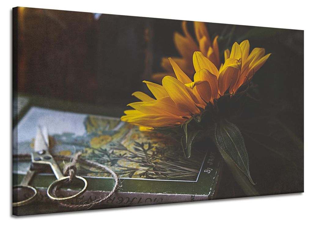 Leinwanddruck Sonnenblume und Buch 120x70 cm