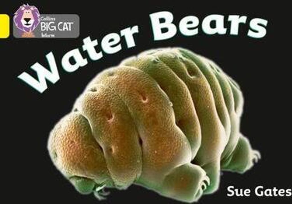 Water Bears