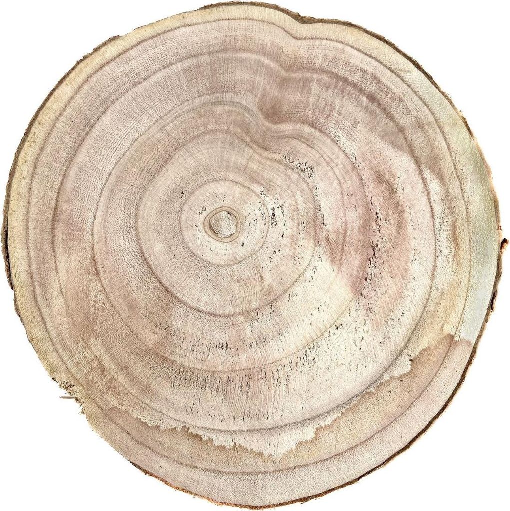 INNA-GLAS Deko Holzscheibe Jessalyn, Natur, Ø38-40cm - Paulownia Baumscheibe