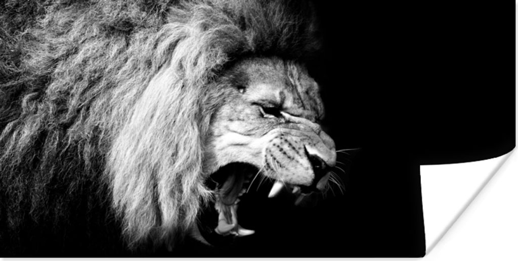 MuchoWow Poster Löwe - Porträt - Schwarz - Weiß - Tiere 120x60 cm - Bild