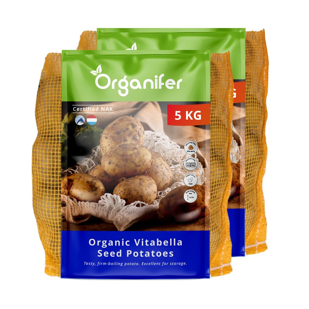 -Saatkartoffeln Vitabella A 28/35 (10 kg) - Organifer