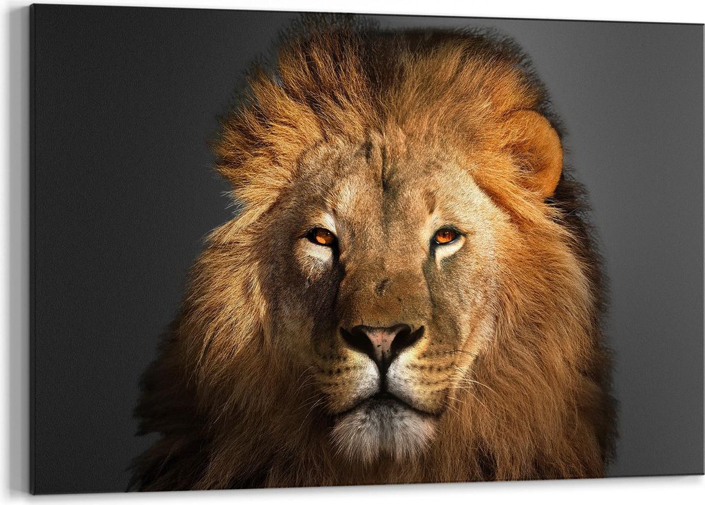 DEQORI Kreidetafel 60x40 cm 'Majestätischer Löwe' Tafel Wandtafel Schreibtafel