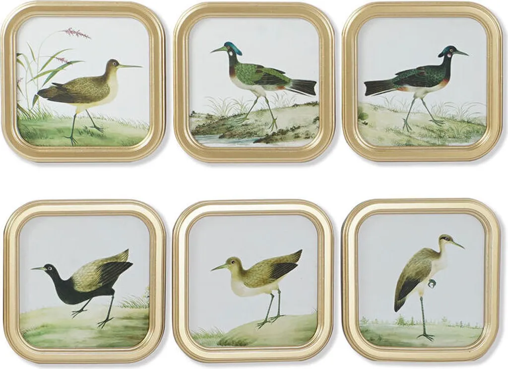 Habillez vos Murs Vides : Set de 6 Tableaux Oiseaux Cottage 30x30 cm