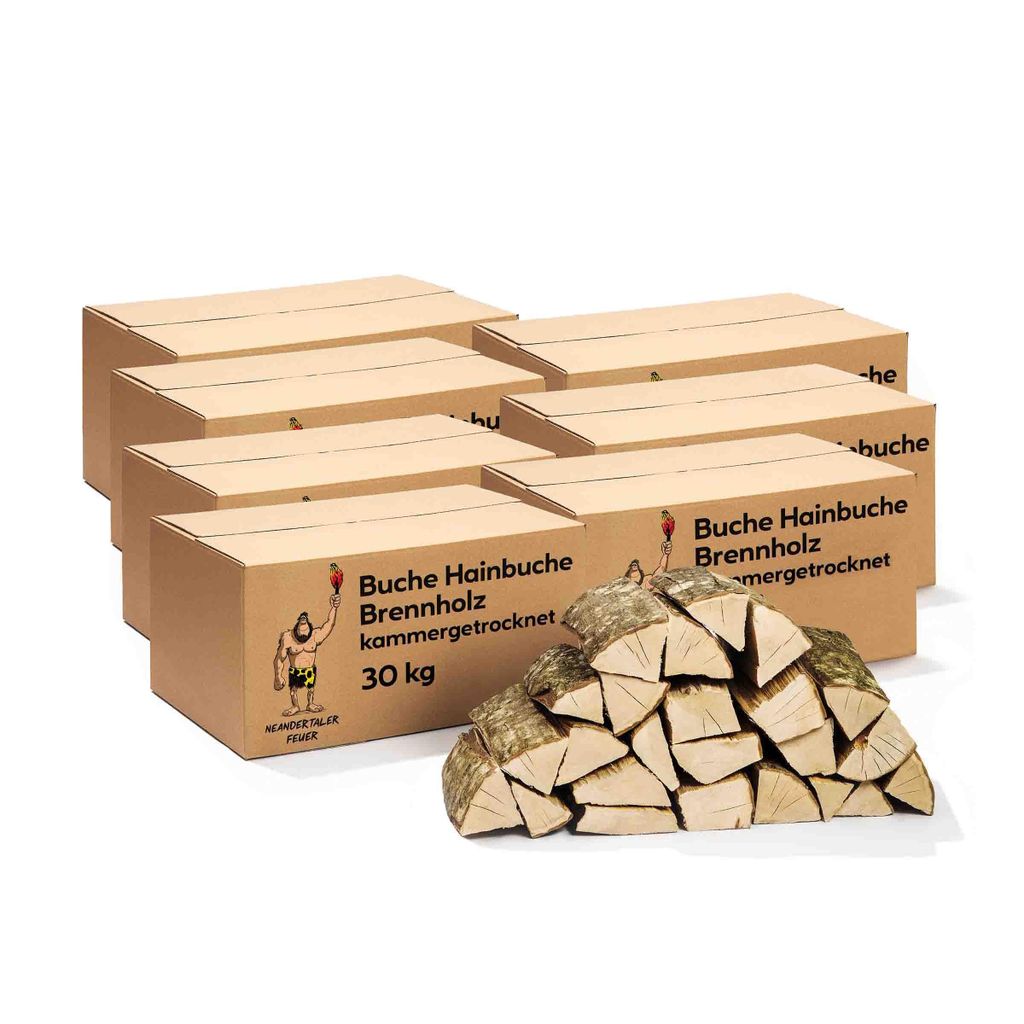 Neandertaler Feuer Brennholz Buche Kaminholz - Buchenholz Grillholz 25 cm 210 kg | Hartholz Feuerholz | Holz für Grill Kamin Smoker Ofen | Firewood