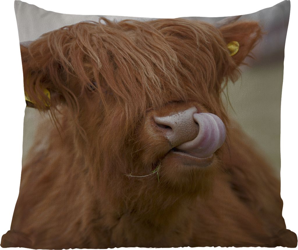 MuchoWow Outdoor Kissen - Schottisches Hochlandrind - Braun - Tiere - 45x45 cm - Wetterfest - Lounge Kissen - Fotokissen - Dekoratives Kissen