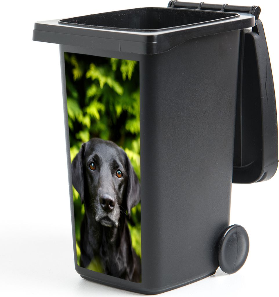 MuchoWow Mülltonnenaufkleber Ein schwarzer Labrador Retriever inmitten der grünen Blätter 44x98 cm - Containeraufkleber - Aufkleber - Müllton...