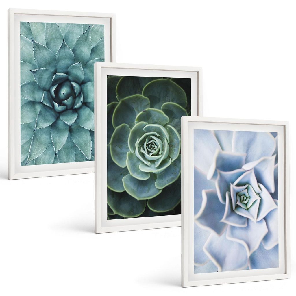 Bilder Set 3-teilig im weißen Rahmen – Wandbilder 3 Stück – gerahmte Poster für Wohnzimmer, Schlafzimmer und Flur – 40x60 cm – Sukkulent...