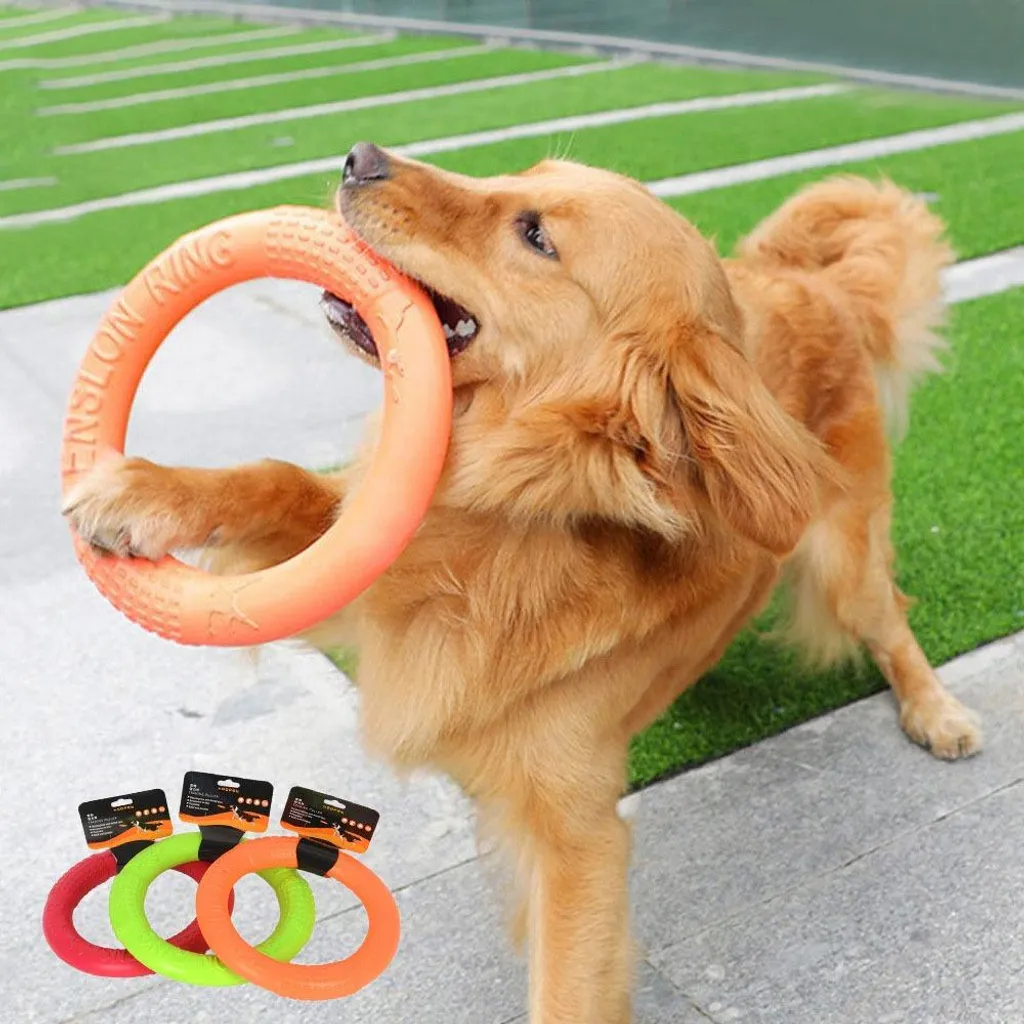 Anello per Cani in EVA S INF: Il Gioco Galleggiante per il Tuo Cucciolo - 4