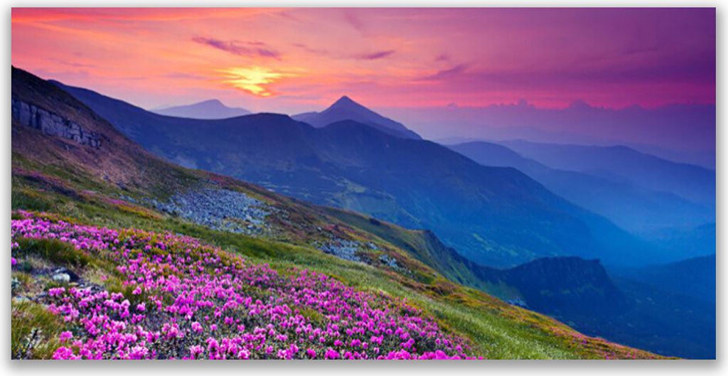 Acrylglasbilder 120x60 Wandbild Druck Gebirge Wiese Blumen Landschaft
