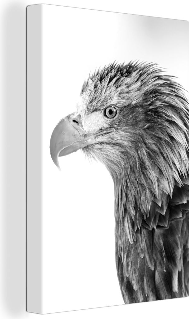 OneMillionCanvasses - Leinwandbilder - 90x140 cm, Profil Adler - schwarz und weiß, Wandbilder Kunstdruck Wanddekoration - Wandschmucke - Schlafz...