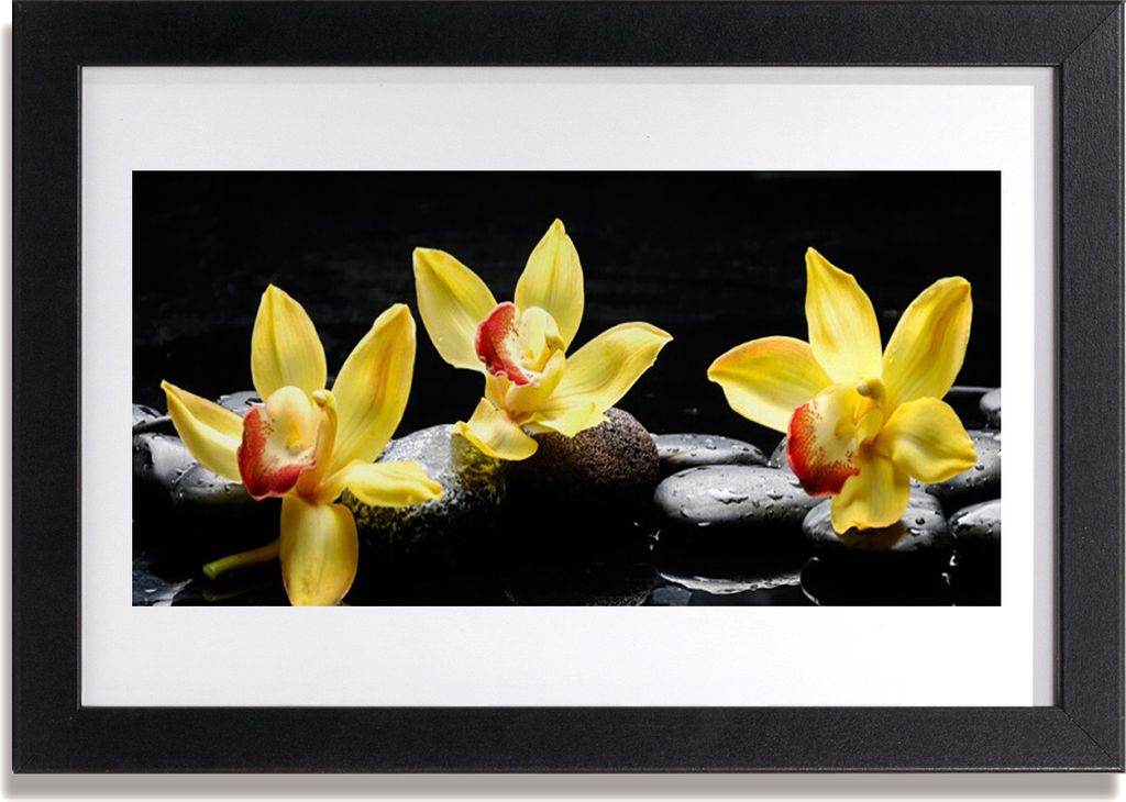 Bild 30x20 MDF-Rahmen Wandkunst Blume Orchidee Pflanze