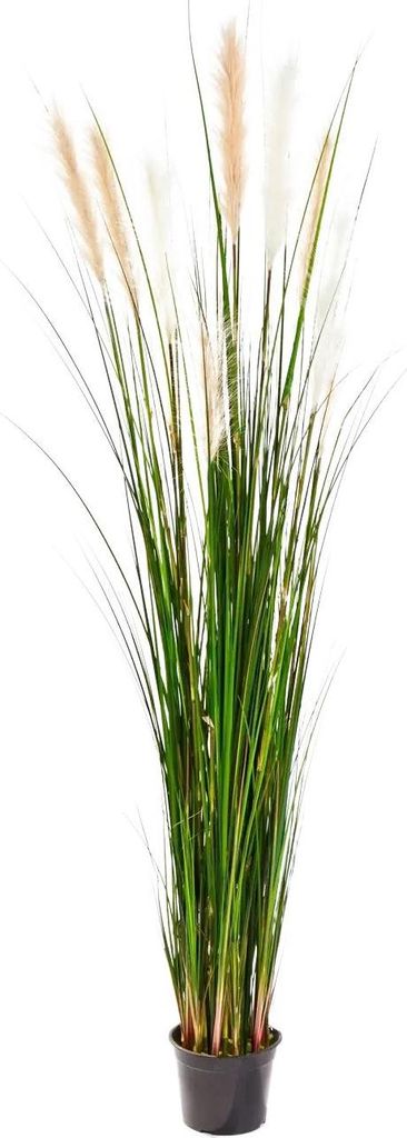 aplanta Künstliches Schilfgras - Fluffi | 180 cm, für drinnen, Kunstpflanze, wie echt, Allergiker geeignet, pflanzliche Dekoration Praxis, Office...