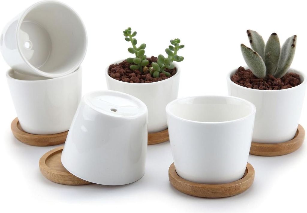 Set von 6 Keramischen Sukkulenten-Blumentöpfen mit Holzuntersetzer - Ideal für Innen und Außen