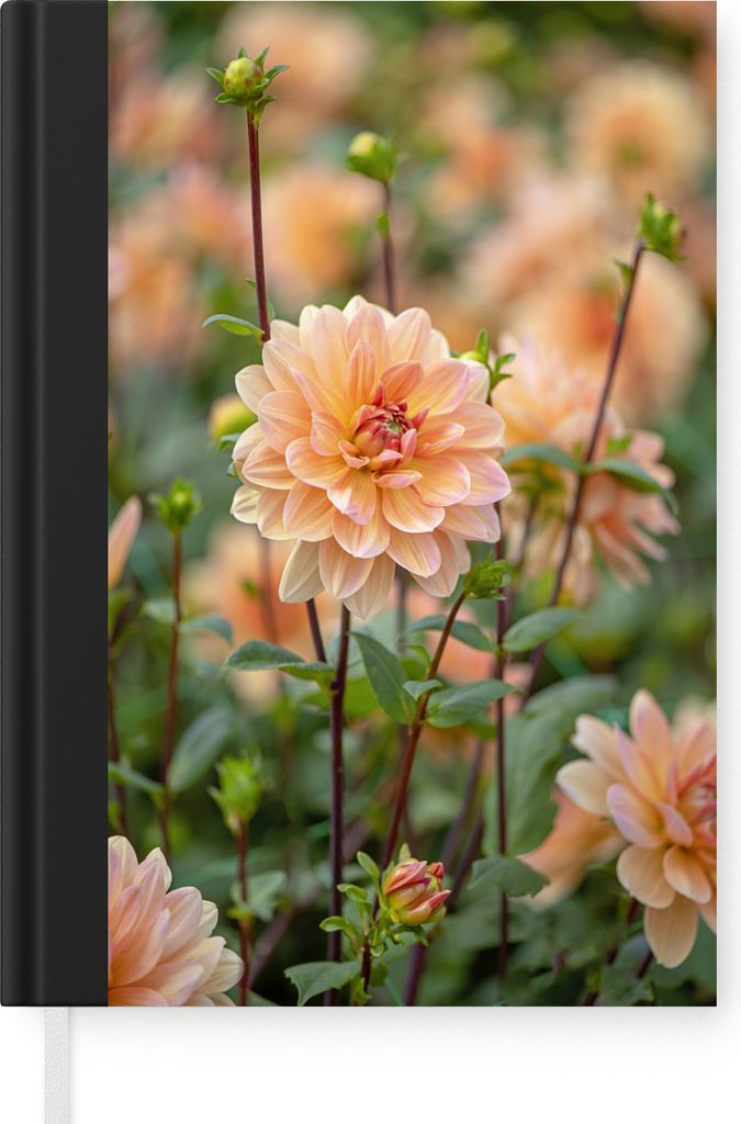 MuchoWow Notizbuch Tagebuch Haushaltsbuch Notebook A5 Blühende Dahlie - Notizblock - Notizheft - Notebook - Schreibblock - Papier