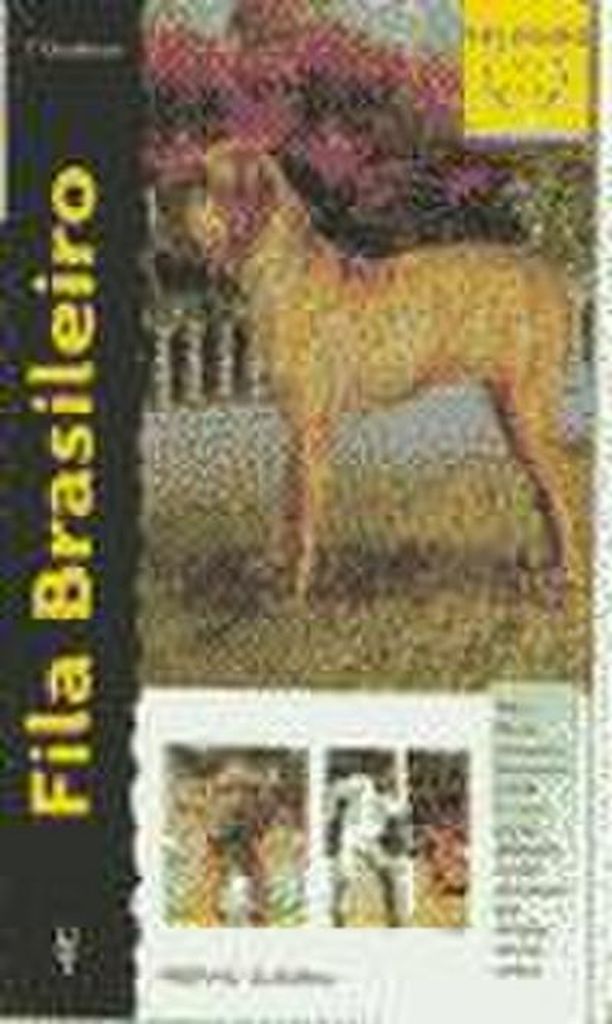Fila brasileiro