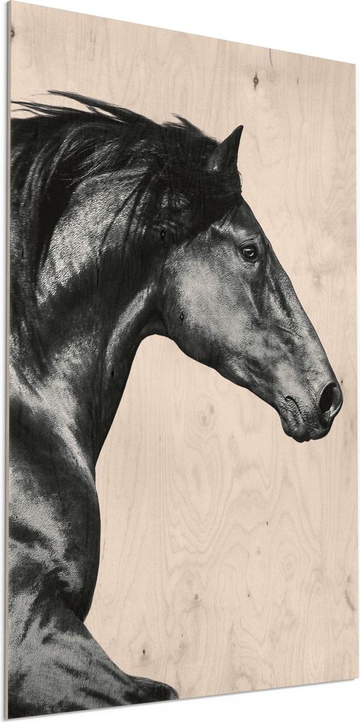 DEQORI Holzbild 60x90 cm 'Galoppierendes Pferd' Bild auf Holz Wandbild Kunstdruck