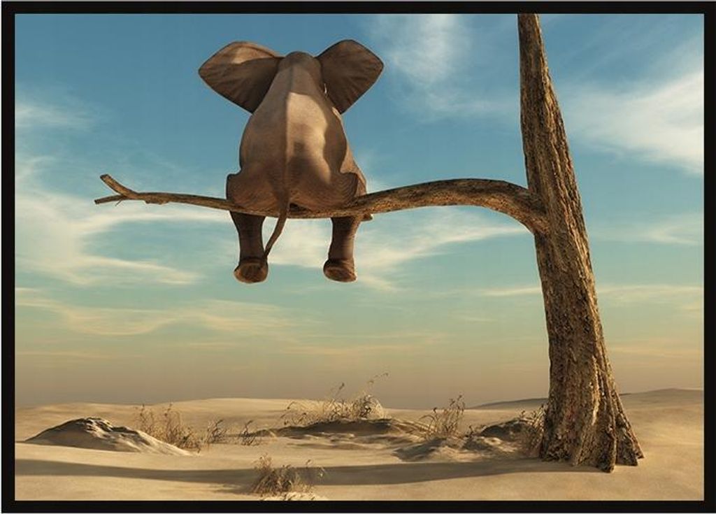 Bildplakat im Rahmen, A4 cm, Elefant, PD233