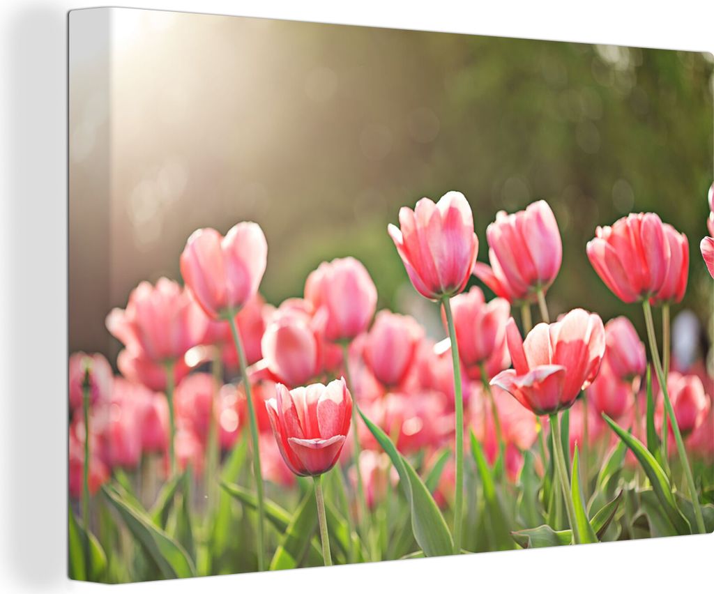 MuchoWow - Leinwandbilder - Tulpen - Sonne - Frühling, Wandbild, Wanddeko Bilder Wohnzimmer, 120x80 cm