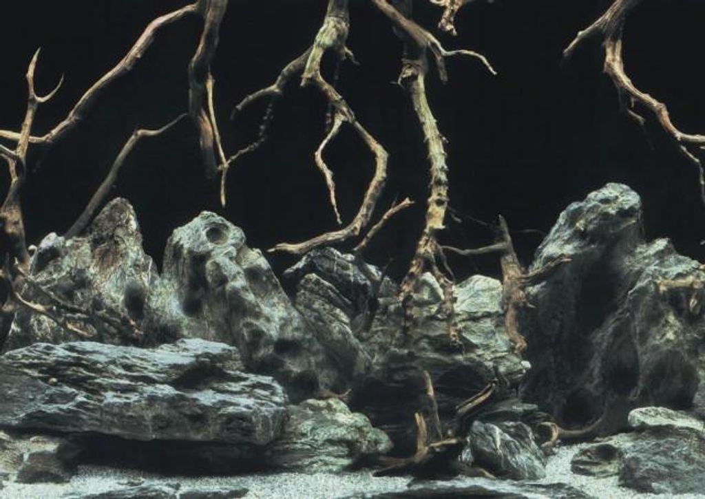 Achterwand voor aquarium, wortels, 60x30 cm, met boommotief Productafbeelding 