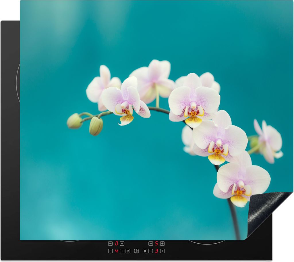 KitchenYeah Herdabdeckplatte Orchidee - Blumen - Pflanze - Weiß - Lila , 59x52cm, Küche Deko, Ceranfeld Herdabdeckung, Abdeckplatte fùr Kochfeld