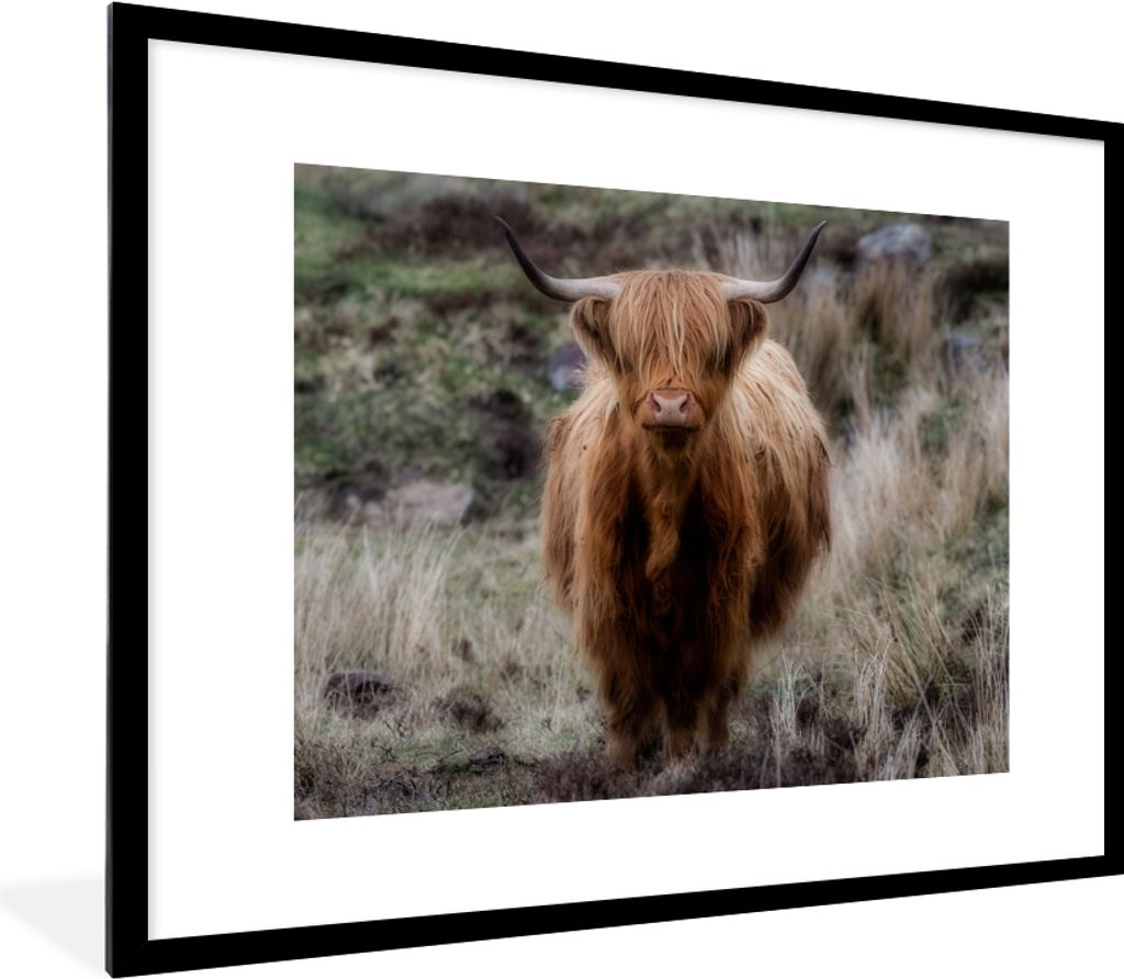 MuchoWow Gerahmtes Poster Schottischer Hochländer - Moos - Gras 80x60 cm - Poster mit Schwarzem Bilderrahmen Wandposter Rahmen Foto Bilder - Sch...