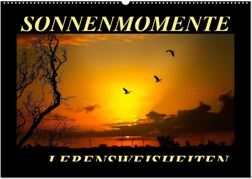 Sonnenmomente und Lebensweisheiten (Wandkalender 2026 DIN A2 quer), CALVENDO Monatskalender