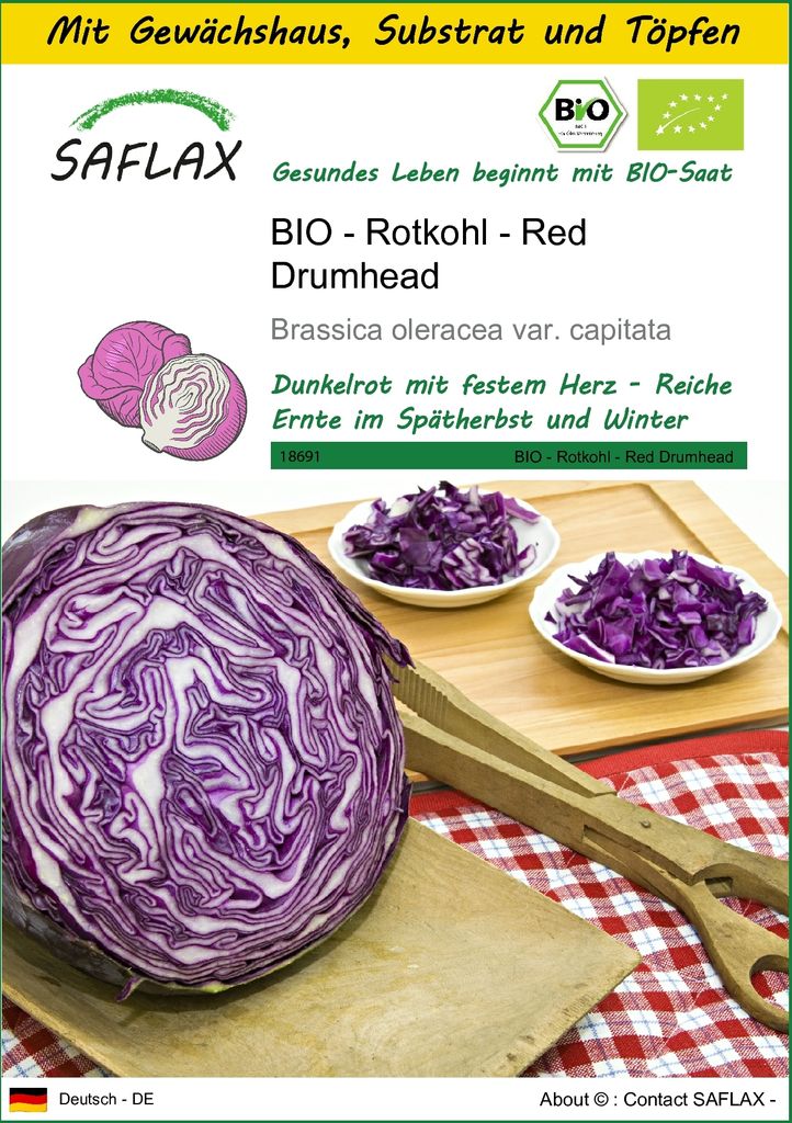 SAFLAX Anzucht Set - BIO - Rotkohl - Red Drumhead - Brassica oleracea var. capitata - 250 Samen - Mit Mini-Gewächshaus, Anzuchtsubstrat und 2 Töpfen