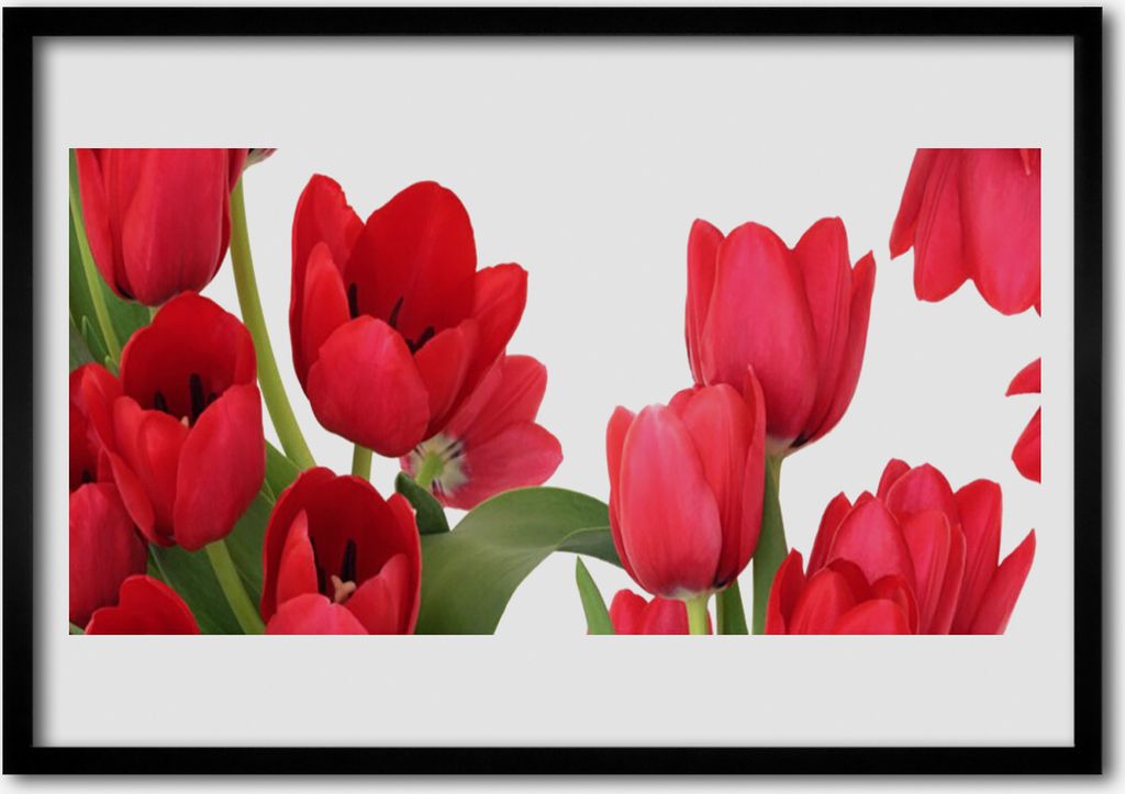 Bild 100x70 MDF-Rahmen Wandkunst Tulpen Blumen Pflanze