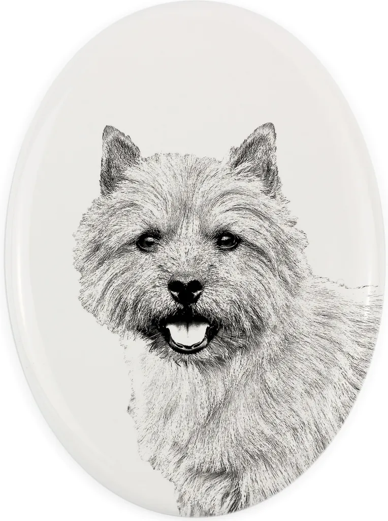 Norwich Terrier Targa Commemorativa Art-Dog Personalizzata Lapide Cane