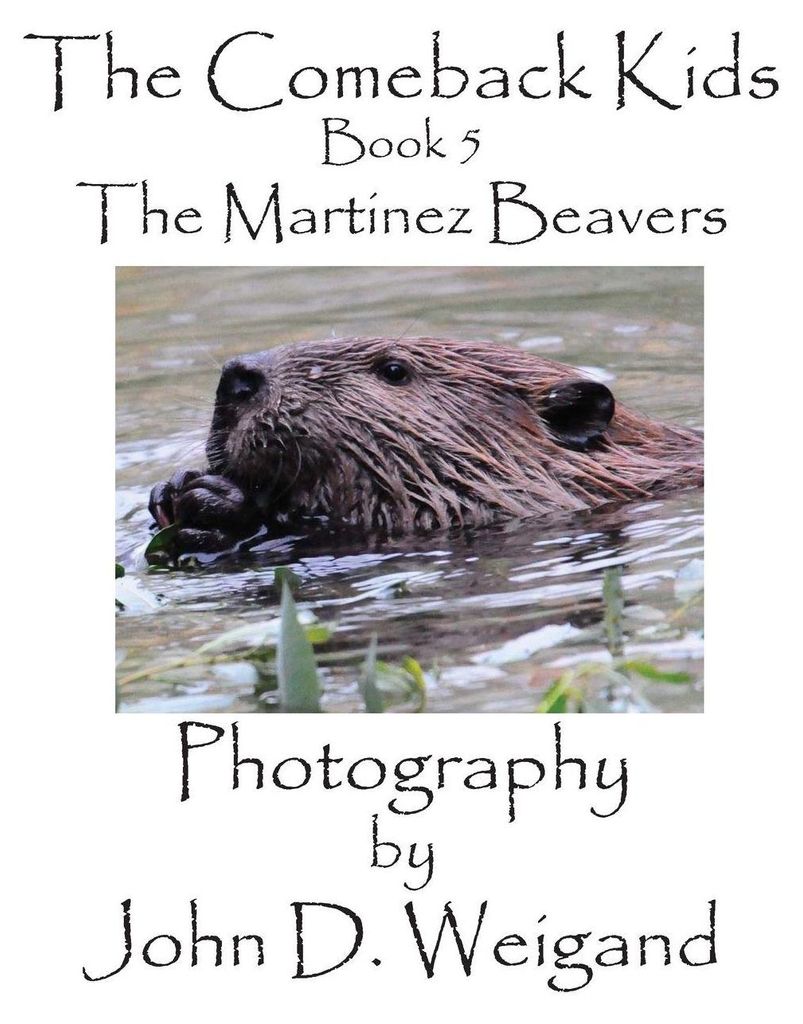The Comeback Kids, Book 5, The Martinez Beavers