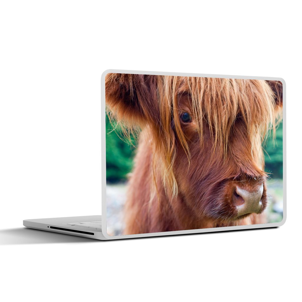 MuchoWow Laptop Aufkleber Sticker Cover Schottischer Highlander - Braun - Kalb 31x22.5 cm - Laptop-Deko