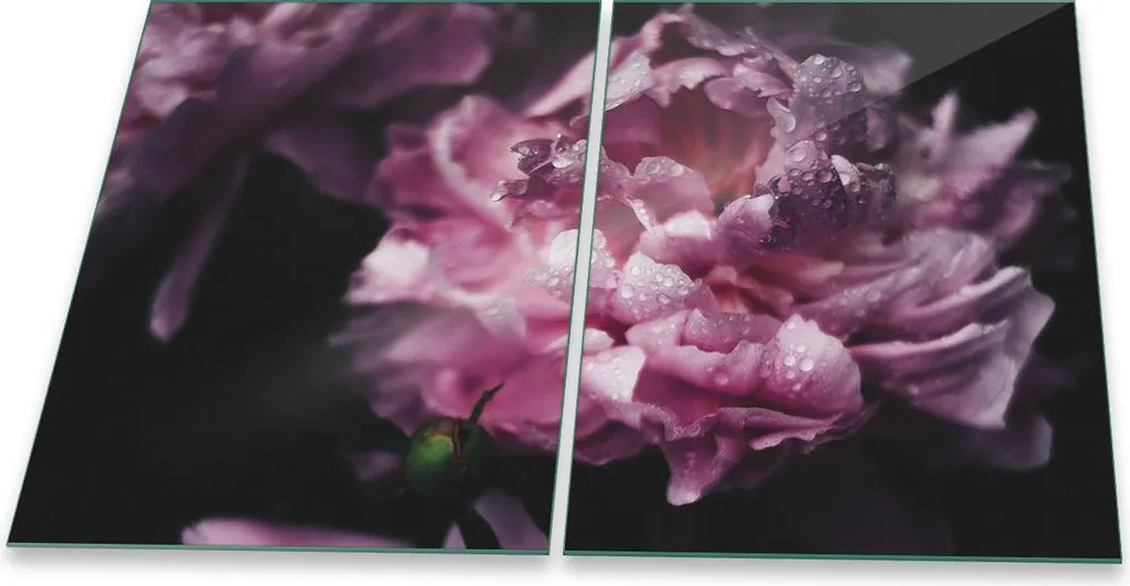 Copertura Vetro Ceramica 2 Pezzi 40x52 Rosa - Standard Sicurezza