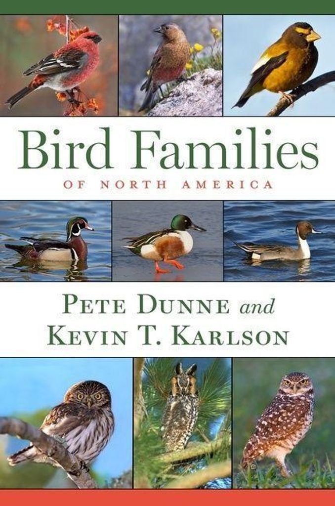 Bird Families Of North America – Lingua: Inglese