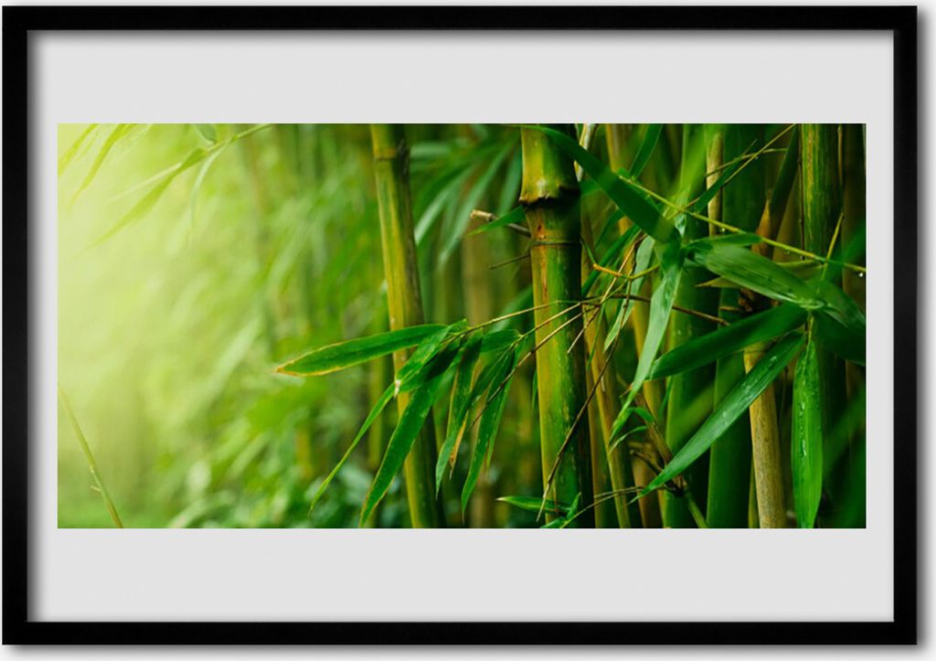 Bild 70x50 MDF-Rahmen Wandkunst Bambusstangen Pflanze