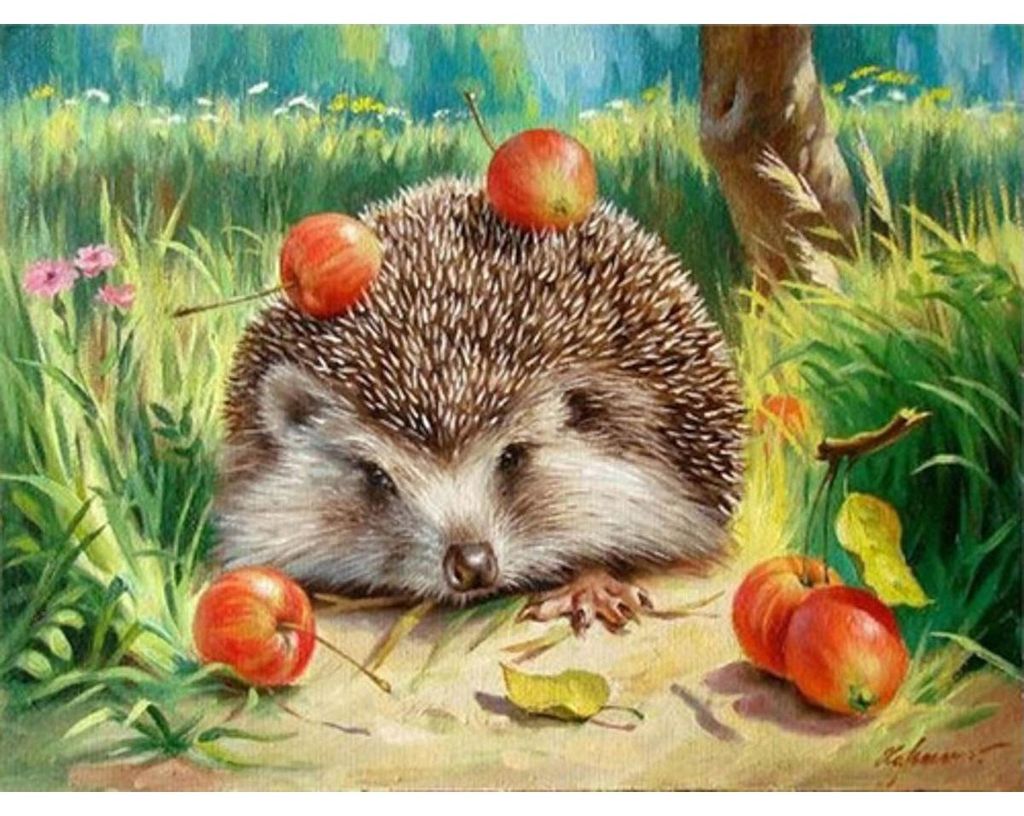 PRACHT Diamond Painting Igel 40x30cm