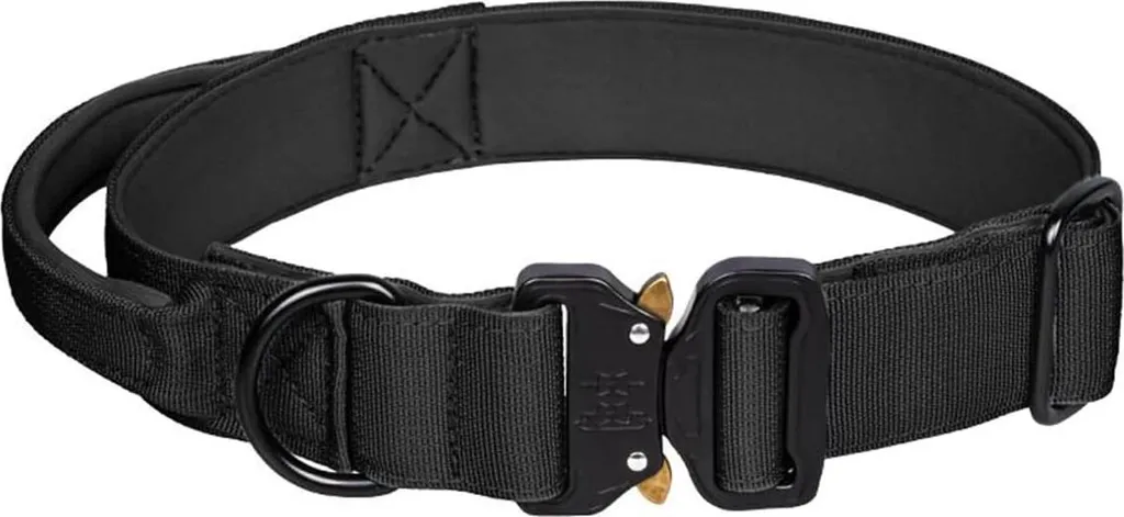 Collier chien robuste avec boucle métal et levier de réglage précis XL